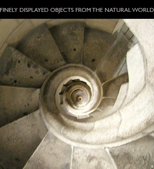 spiral